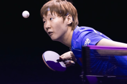 网球wta赛事级别划分一览表wta排名积分规则2024f1羽毛球规则介绍